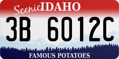 ID license plate 3B6012C