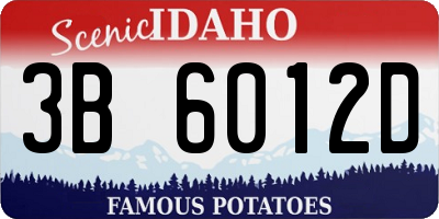 ID license plate 3B6012D