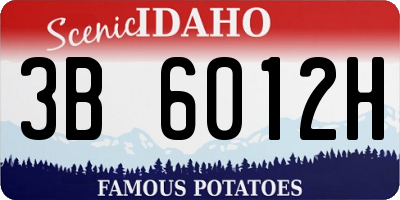 ID license plate 3B6012H