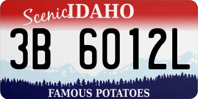 ID license plate 3B6012L