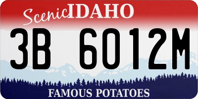 ID license plate 3B6012M