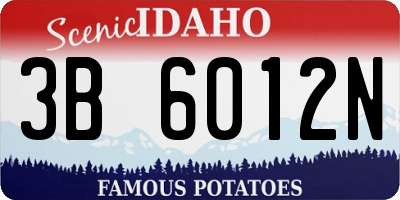 ID license plate 3B6012N
