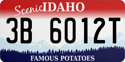 ID license plate 3B6012T