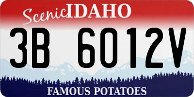 ID license plate 3B6012V