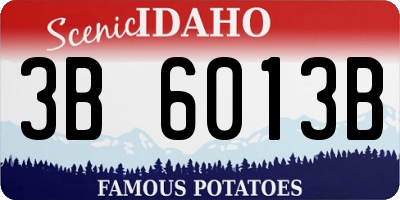 ID license plate 3B6013B