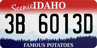 ID license plate 3B6013D
