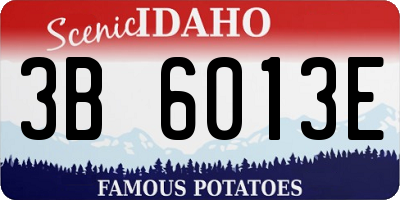 ID license plate 3B6013E