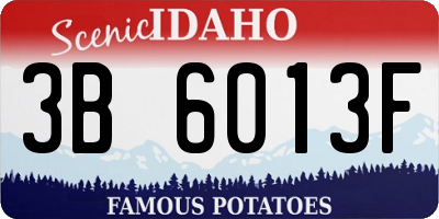 ID license plate 3B6013F