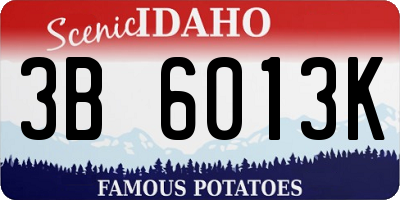 ID license plate 3B6013K
