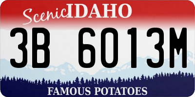 ID license plate 3B6013M