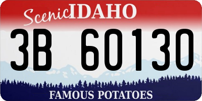ID license plate 3B6013O