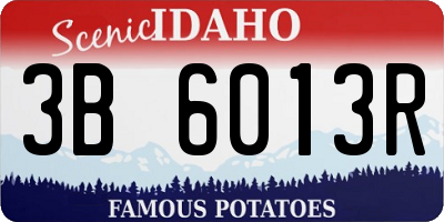 ID license plate 3B6013R