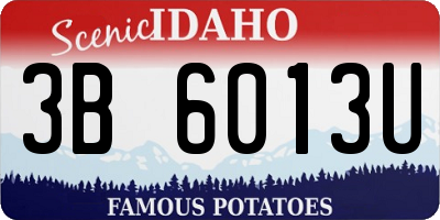 ID license plate 3B6013U
