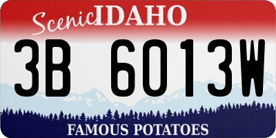 ID license plate 3B6013W