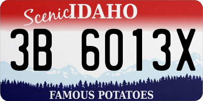 ID license plate 3B6013X
