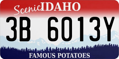 ID license plate 3B6013Y