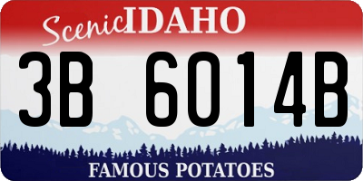 ID license plate 3B6014B