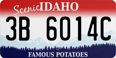 ID license plate 3B6014C