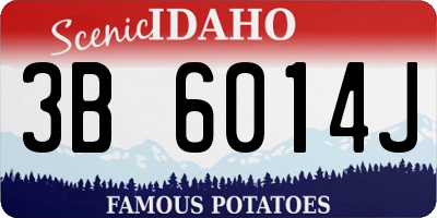 ID license plate 3B6014J