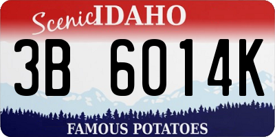 ID license plate 3B6014K
