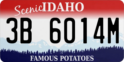 ID license plate 3B6014M