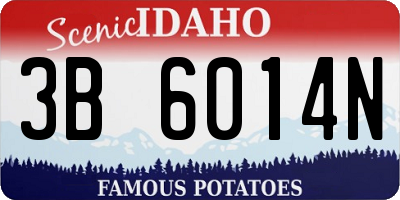 ID license plate 3B6014N