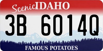 ID license plate 3B6014Q