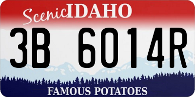 ID license plate 3B6014R