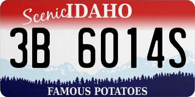 ID license plate 3B6014S