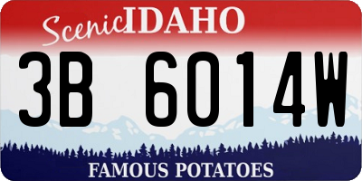 ID license plate 3B6014W