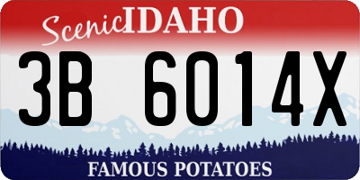 ID license plate 3B6014X