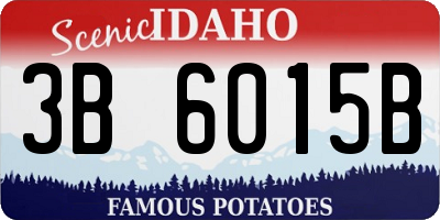 ID license plate 3B6015B