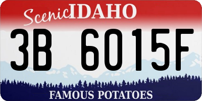 ID license plate 3B6015F
