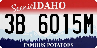 ID license plate 3B6015M