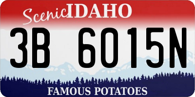 ID license plate 3B6015N
