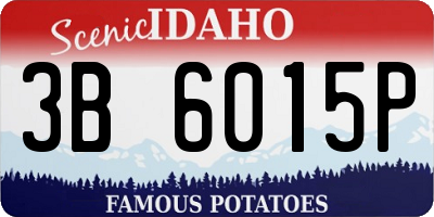 ID license plate 3B6015P