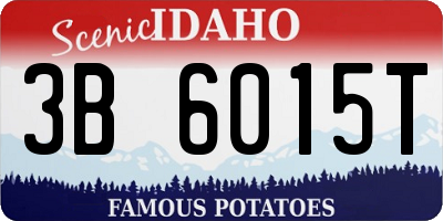 ID license plate 3B6015T