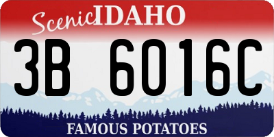 ID license plate 3B6016C