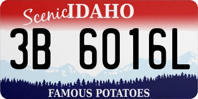 ID license plate 3B6016L