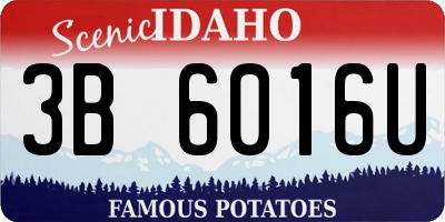 ID license plate 3B6016U