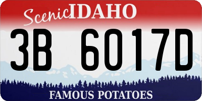 ID license plate 3B6017D