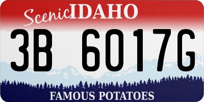 ID license plate 3B6017G
