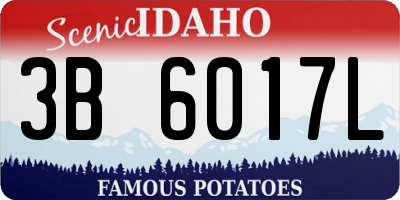 ID license plate 3B6017L