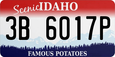 ID license plate 3B6017P