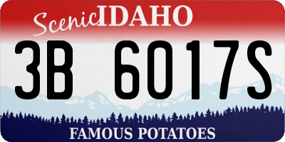 ID license plate 3B6017S