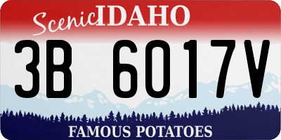 ID license plate 3B6017V