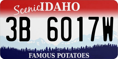 ID license plate 3B6017W