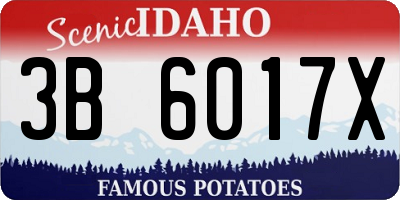 ID license plate 3B6017X