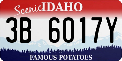 ID license plate 3B6017Y