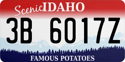 ID license plate 3B6017Z